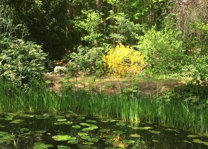 Elisenruh Casa de hóspedes 3*