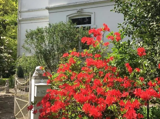 Casa de hóspedes Elisenruh